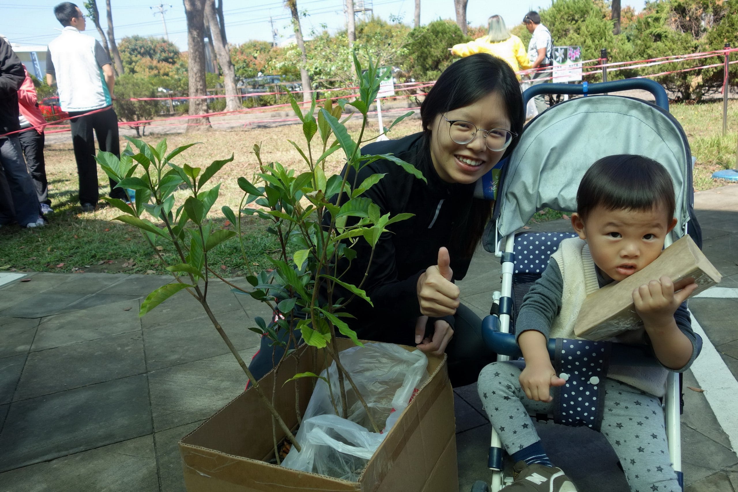 原生花苗吸睛 南投分署公開民眾領苗喜好（圖：南投林管處 提供）