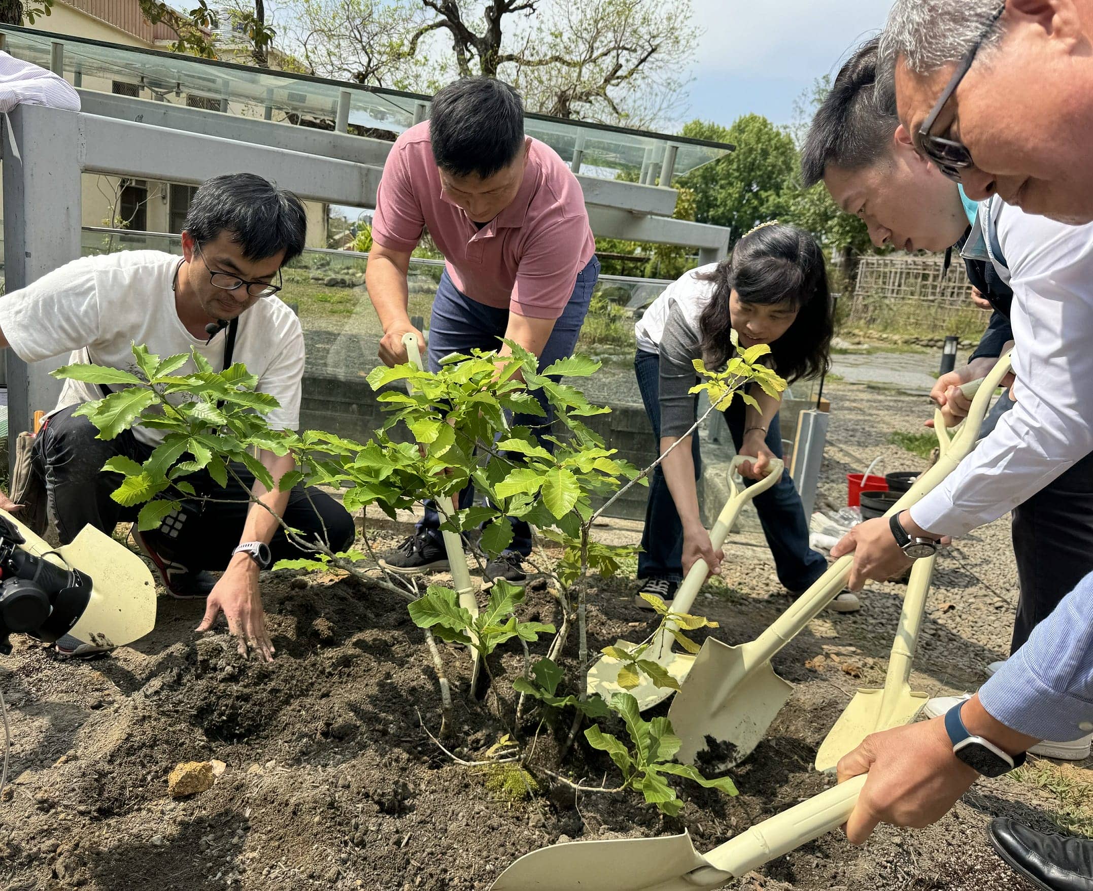 「櫟正種好」新竹分署攜手在地機關學校種植槲櫟助「櫟」環境教育（圖：苗栗縣政府 提供）