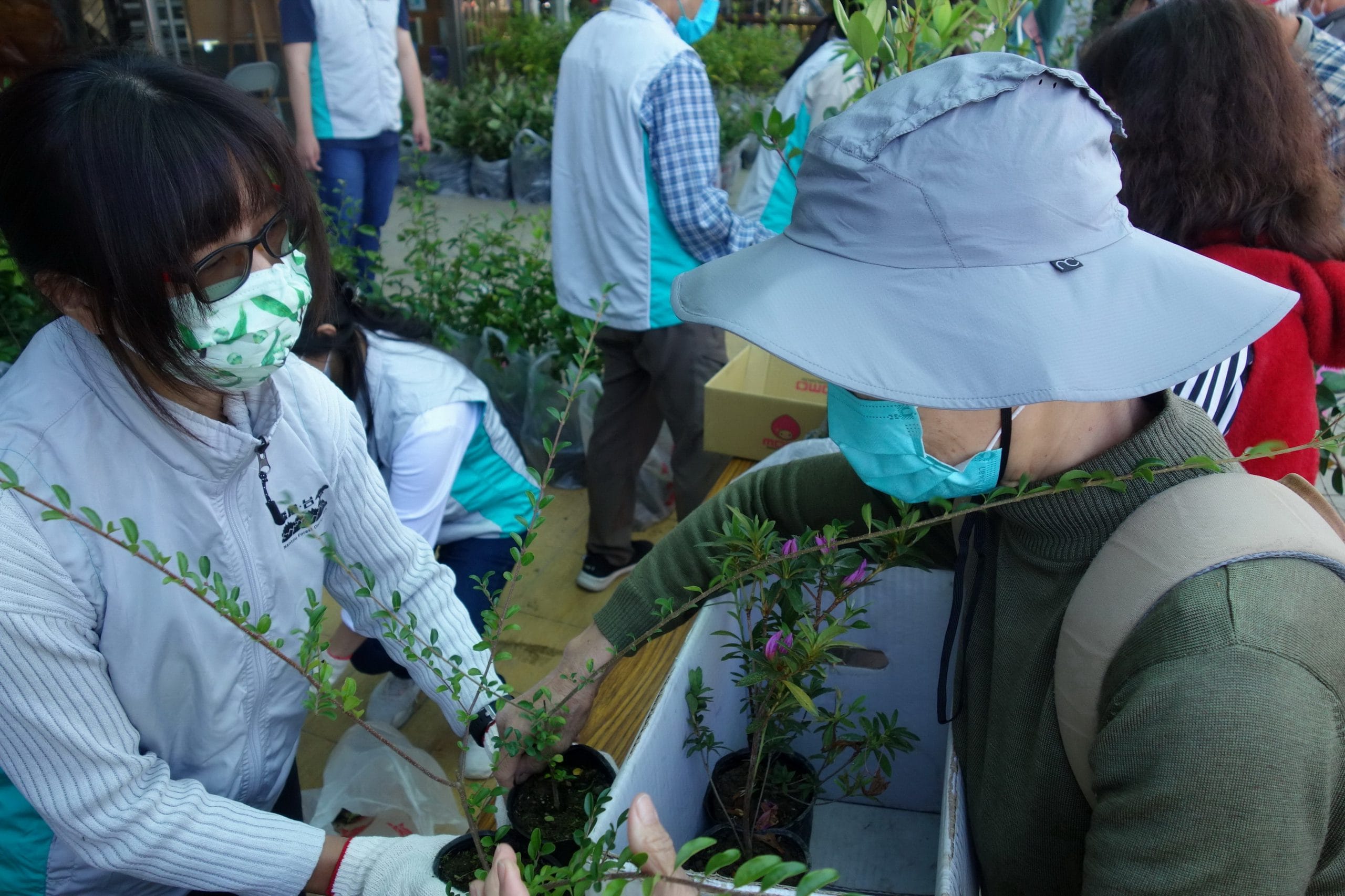 原生花苗吸睛 南投分署公開民眾領苗喜好（圖：南投林管處 提供）