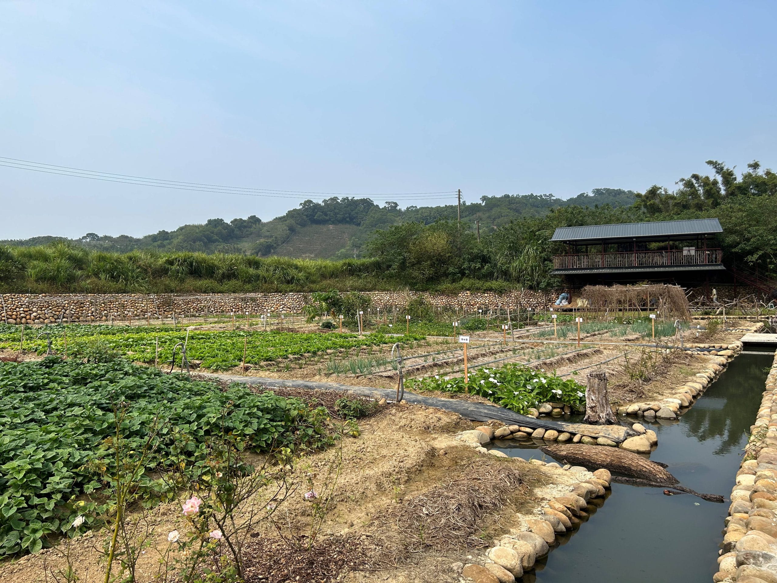 在梨鄉裡遇見綠色農場 新埔南平食農場域長幼共學 獲優良農建獎優等青睞（圖：農業部農村發展及水土保持署 提供）