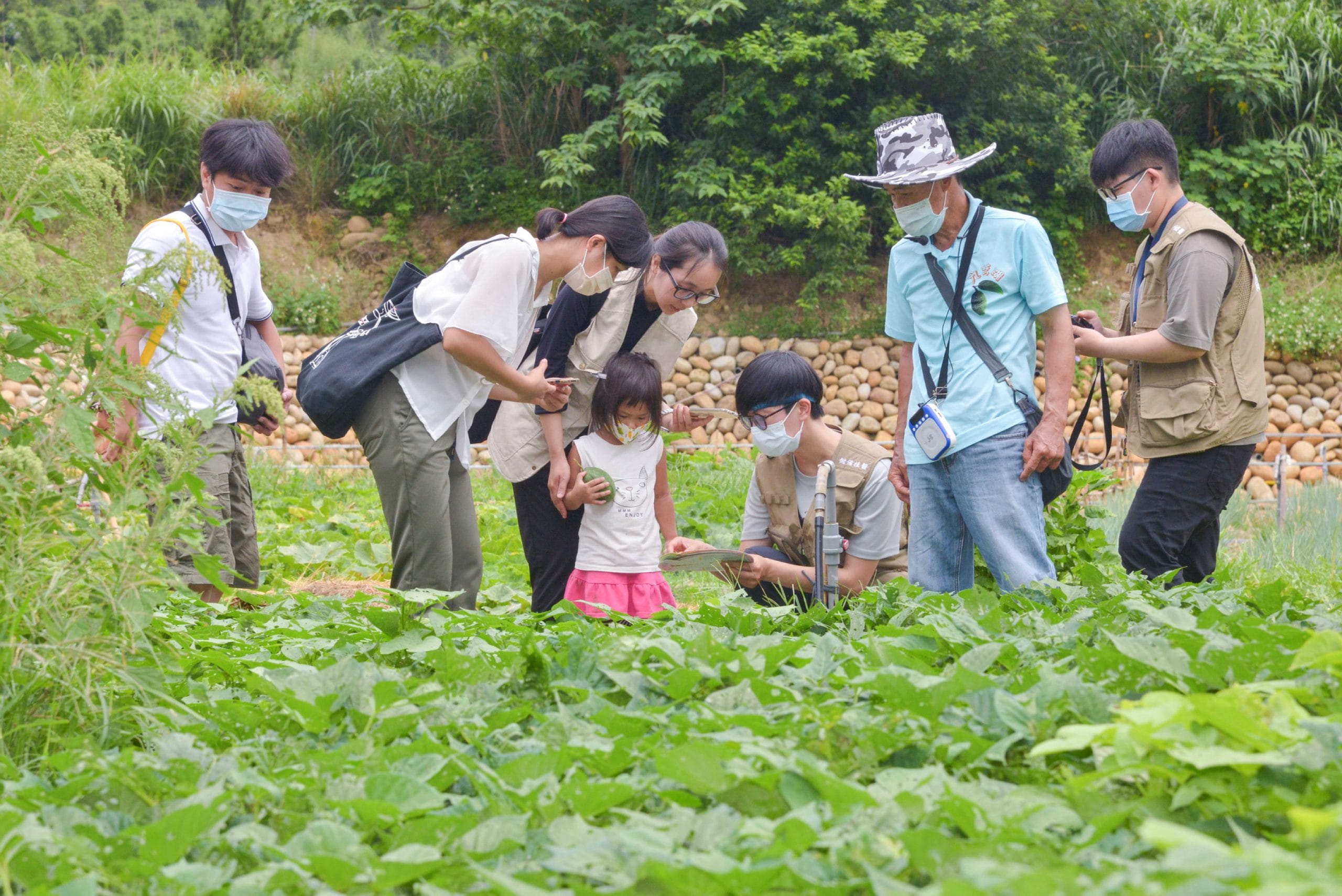 在梨鄉裡遇見綠色農場 新埔南平食農場域長幼共學 獲優良農建獎優等青睞（圖：農業部農村發展及水土保持署 提供）