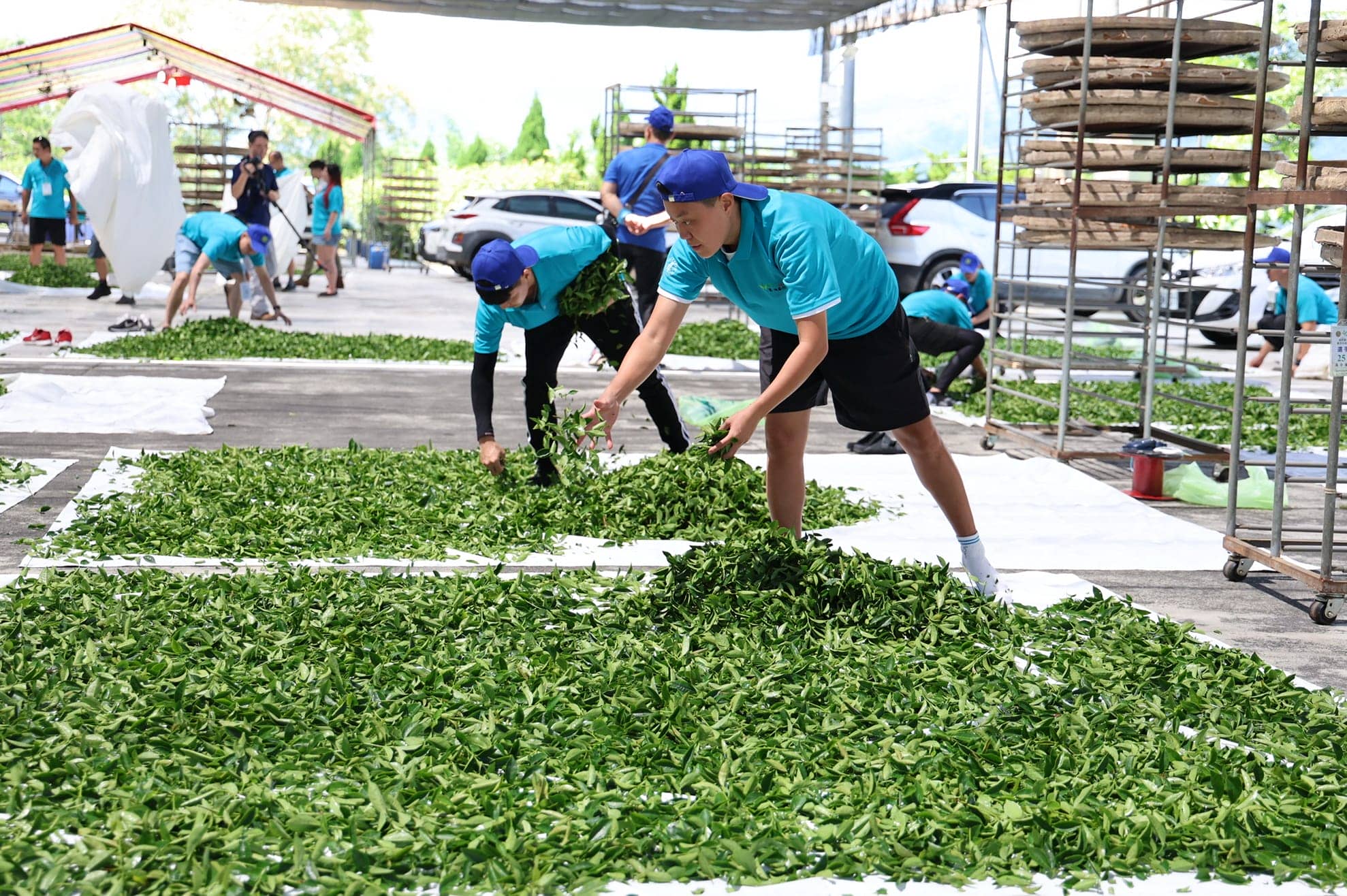 發酵茶製茶技術及培茶技術研習競賽在竹山宏賓製茶所辦理開幕儀式，縣長許淑華(右四)到場勉勵參賽的青年朋友們，把握研習與比賽機會，透過學習與觀摩。(記者梁明善攝)